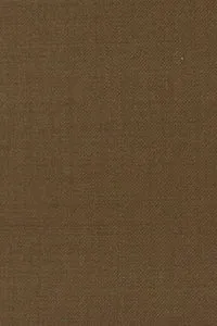 Paul Betenly "Florence" Khaki Solid Plain Front Pants
